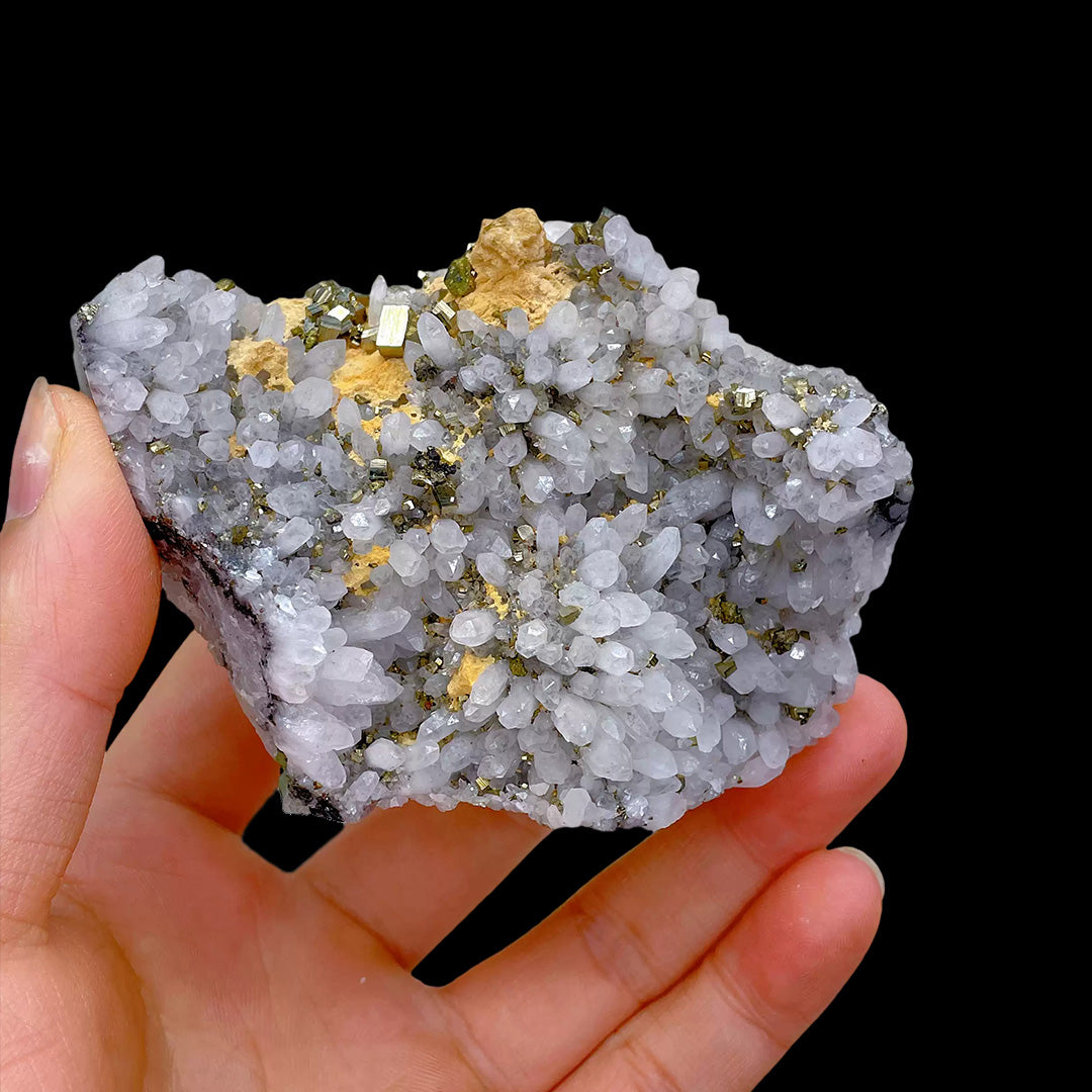 251g Crystal Cluster with Pyrite Paragenesis Mineral Specimen
