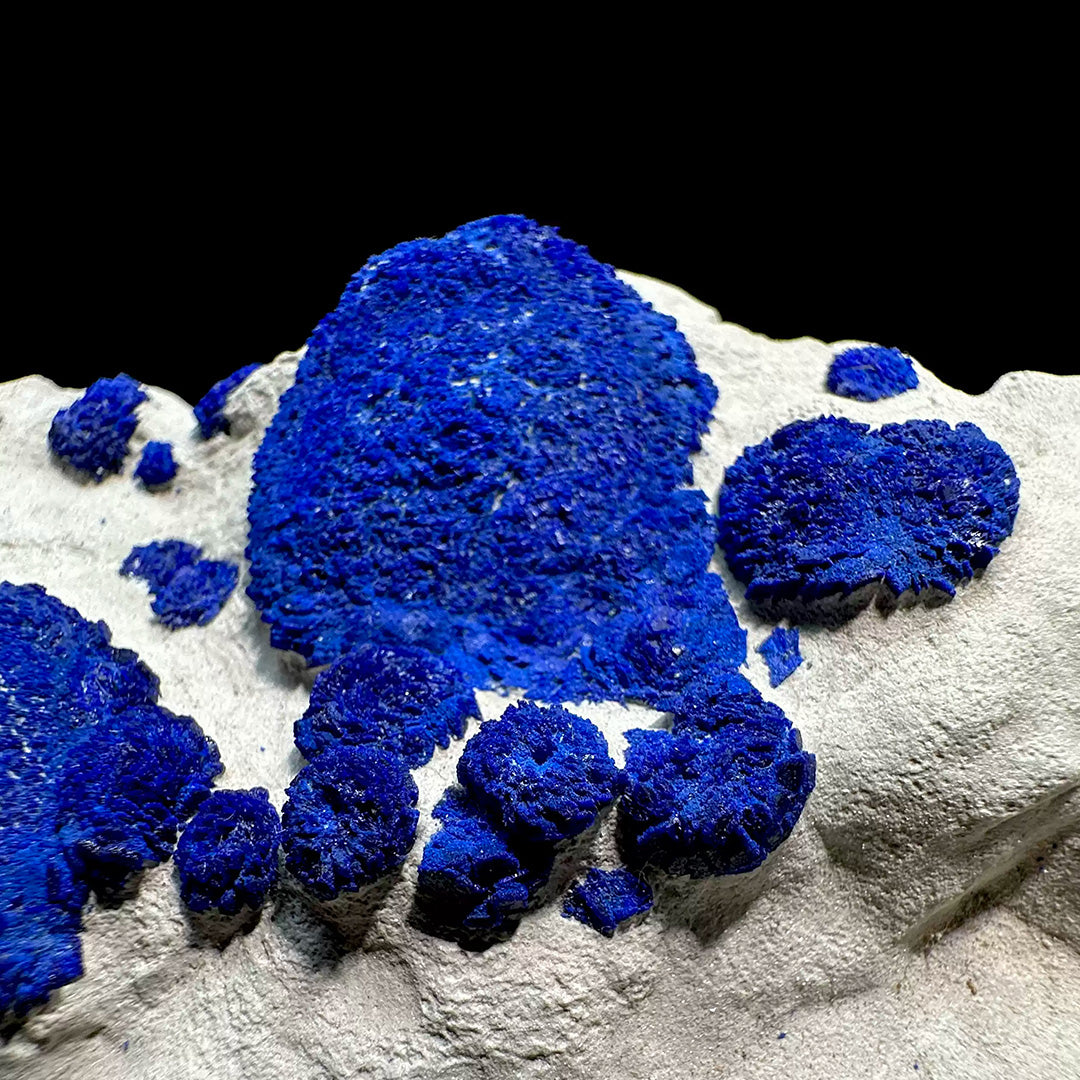 338g Vibrant Blue Azurite Suns on Siltstone