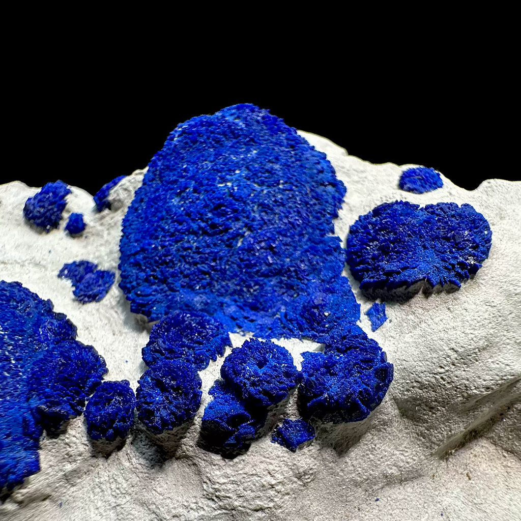 338g Vibrant Blue Azurite Suns on Siltstone - Australia