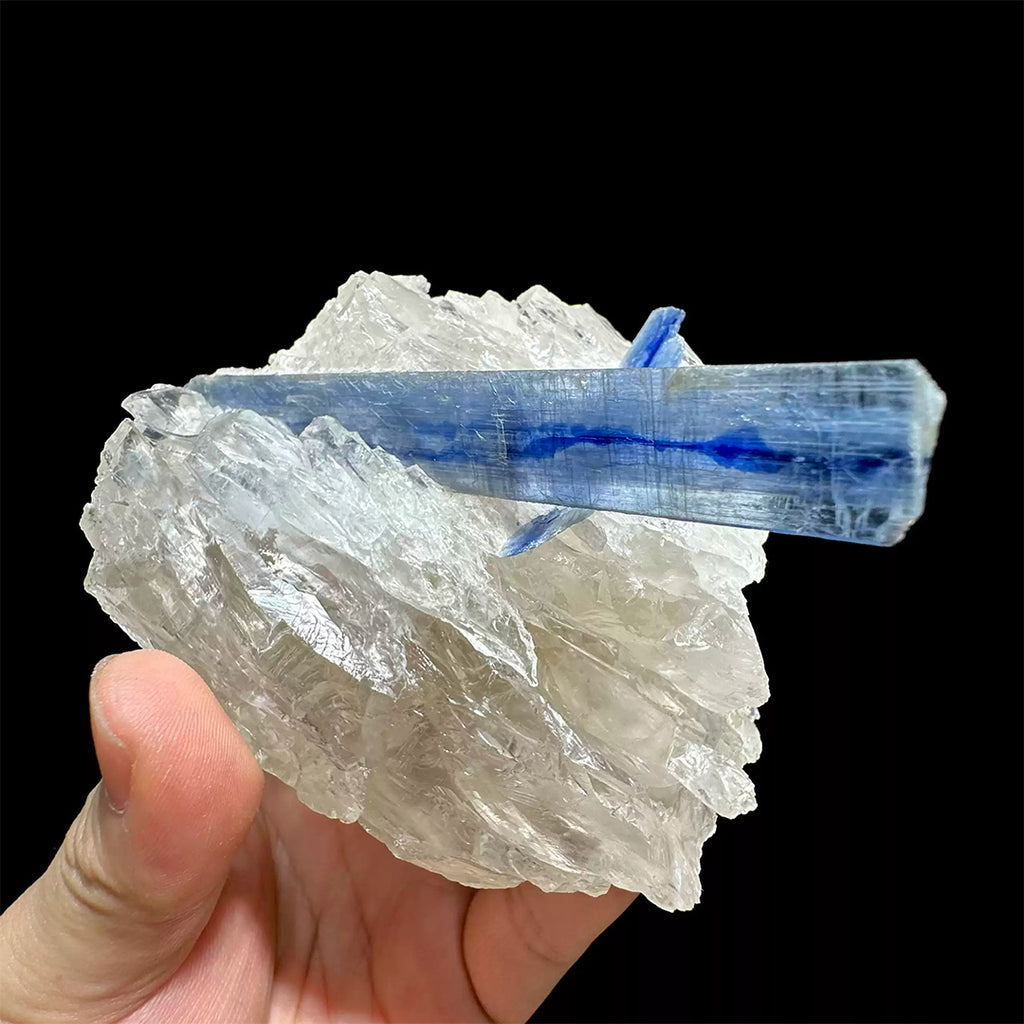 590g Madagascar 4.61