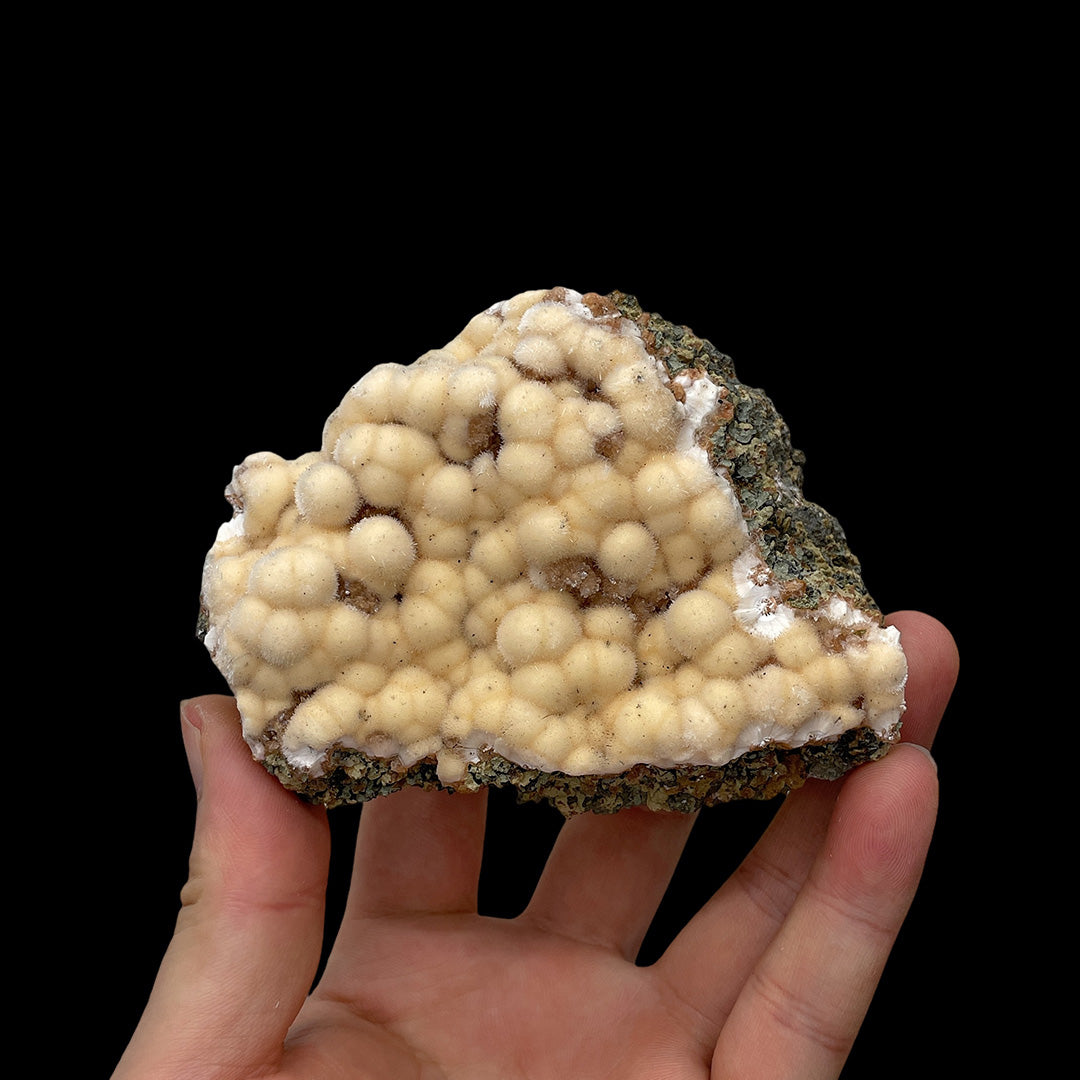 232g Premium Indian Dandelion Zeolite - Intense Phosphorescent Glow