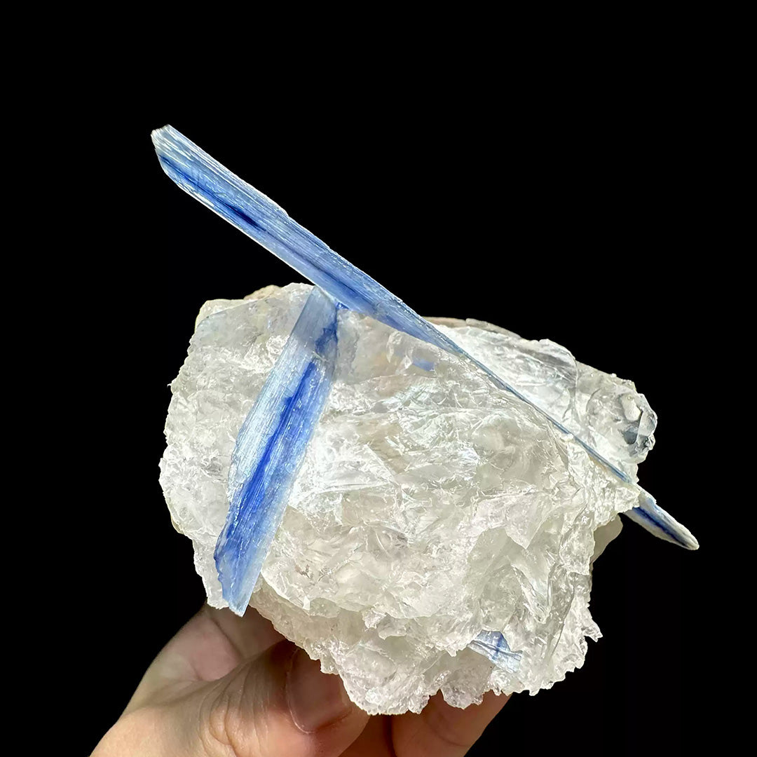 590g Madagascar 4.61" Vibrant Blue Kyanite In Quartz Specimen