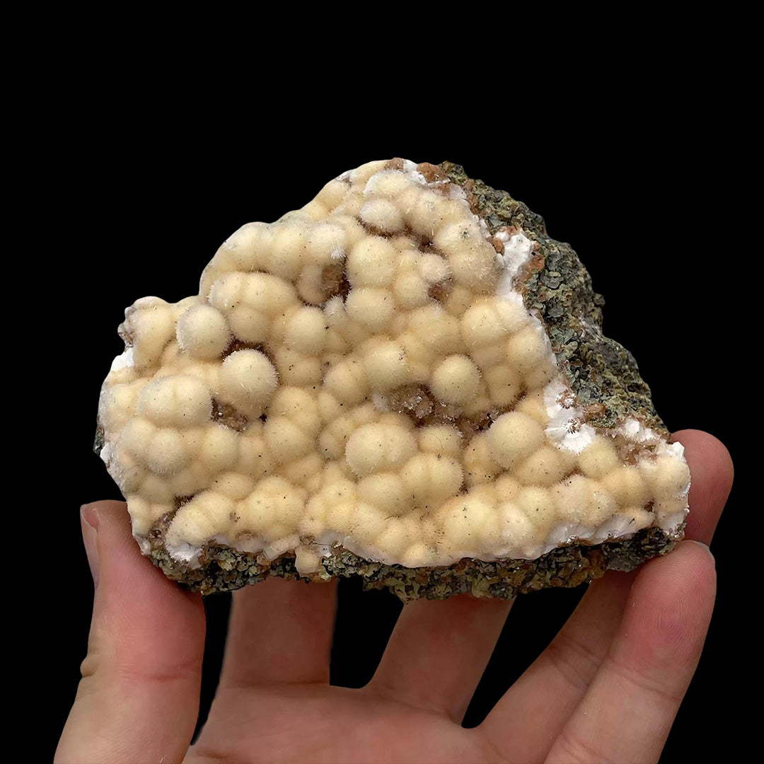 232g Premium Indian Dandelion Zeolite - Intense Phosphorescent Glow